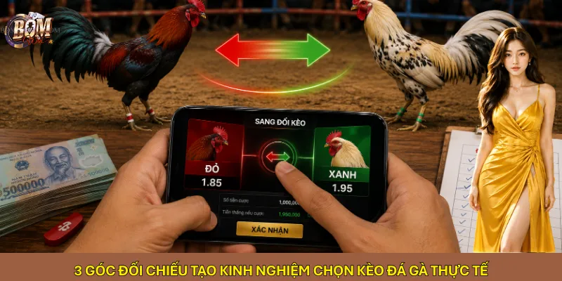 3 góc đối chiếu tạo kinh nghiệm chọn kèo đá gà thực tế