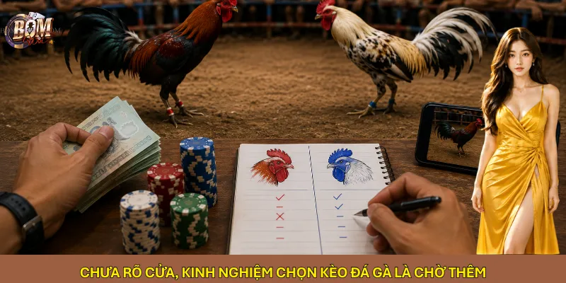 Chưa rõ cửa, kinh nghiệm chọn kèo đá gà là chờ thêm