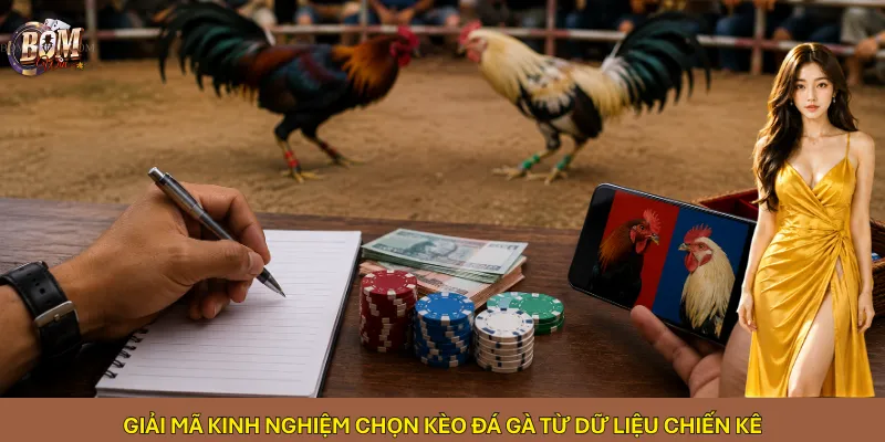 Giải mã kinh nghiệm chọn kèo đá gà từ dữ liệu chiến kê