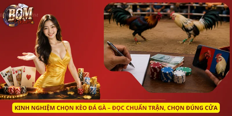 Kinh Nghiệm Chọn Kèo Đá Gà – Đọc Chuẩn Trận, Chọn Đúng Cửa