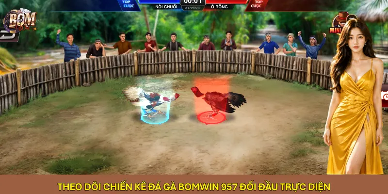 Theo dõi chiến kê đá gà Bomwin 957 đối đầu trực diện